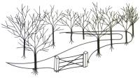 Trees & Woodland Metal Wall Art